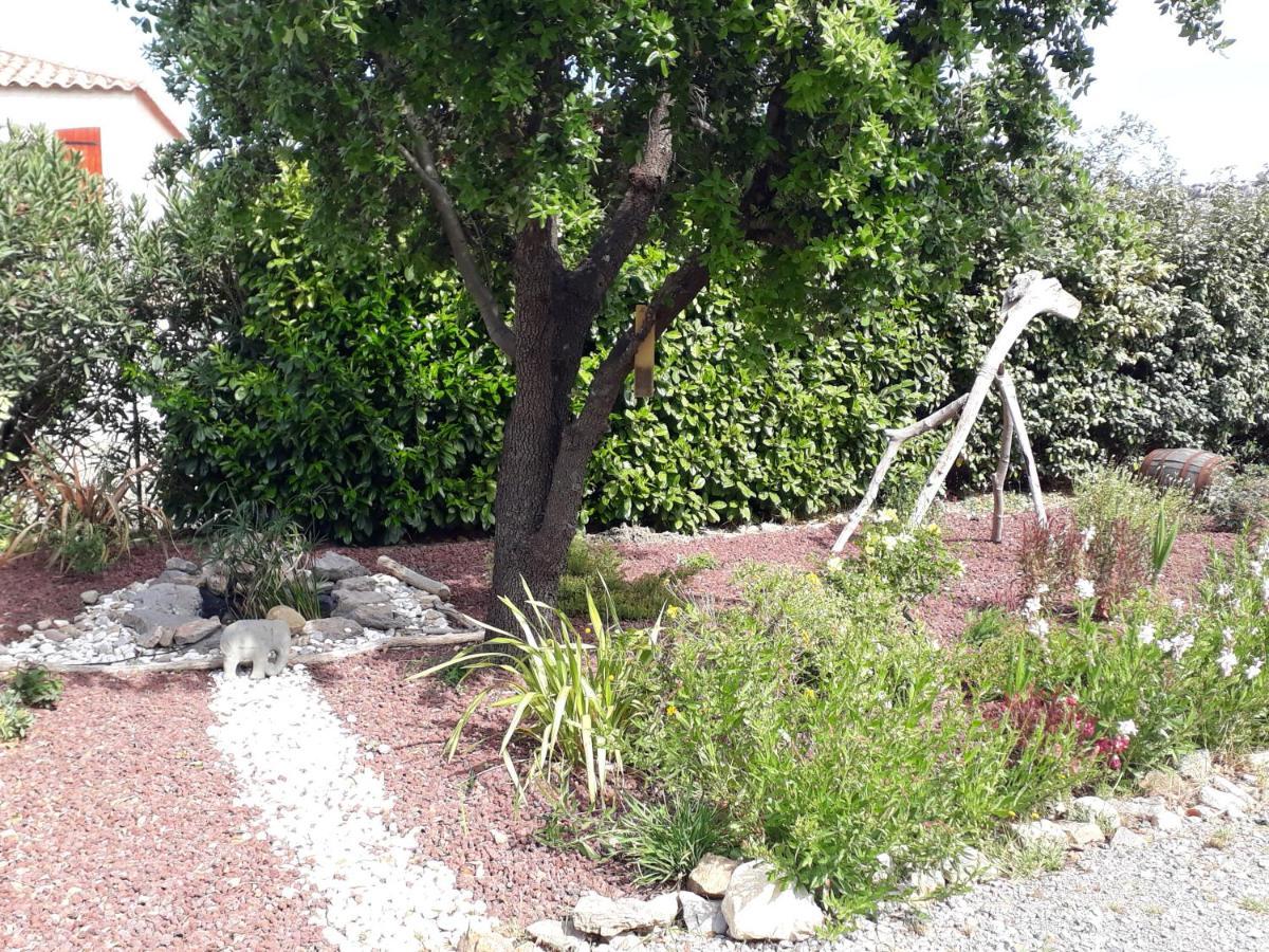 Domaine De La Clotte Bed & Breakfast Roquefort-des-Corbieres Exterior photo