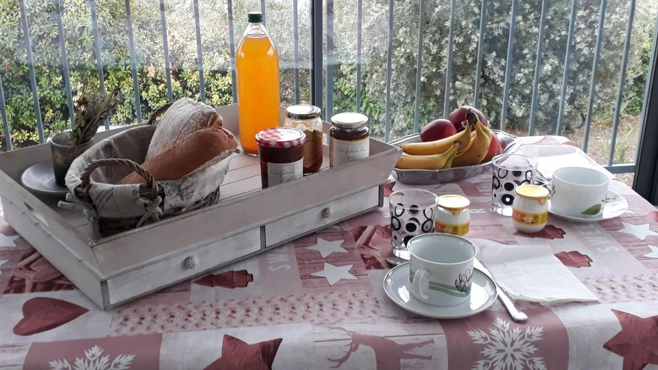 Domaine De La Clotte Bed & Breakfast Roquefort-des-Corbieres Exterior photo